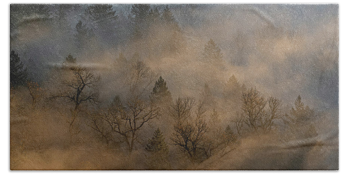 2020-11-27 Bath Towel featuring the photograph Sun, fog and trees. by Ulrich Burkhalter