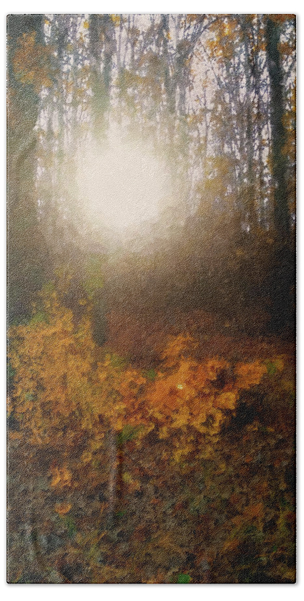 Autumn Forest Bath Towel featuring the mixed media Sun in the Autumn Forest by Alex Mir