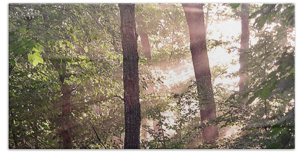 Trees Bath Towel featuring the digital art Sun Rays in Virginia by Nancy Olivia Hoffmann
