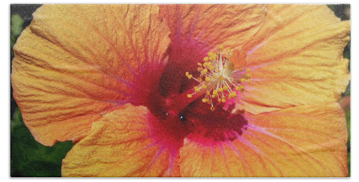 Hibiscus Hand Towel featuring the photograph Sun Reflection by Tony Spencer