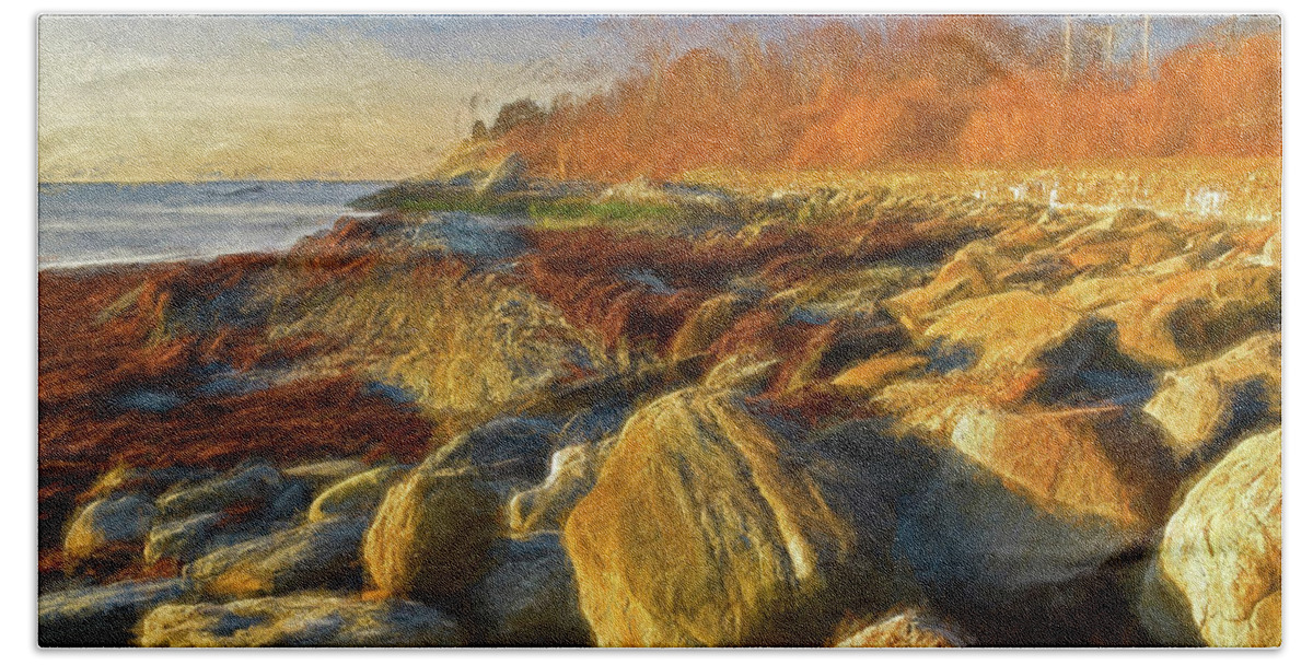 Rocks Hand Towel featuring the photograph Sun, Rocks, and Sachuest Beach by Nancy De Flon