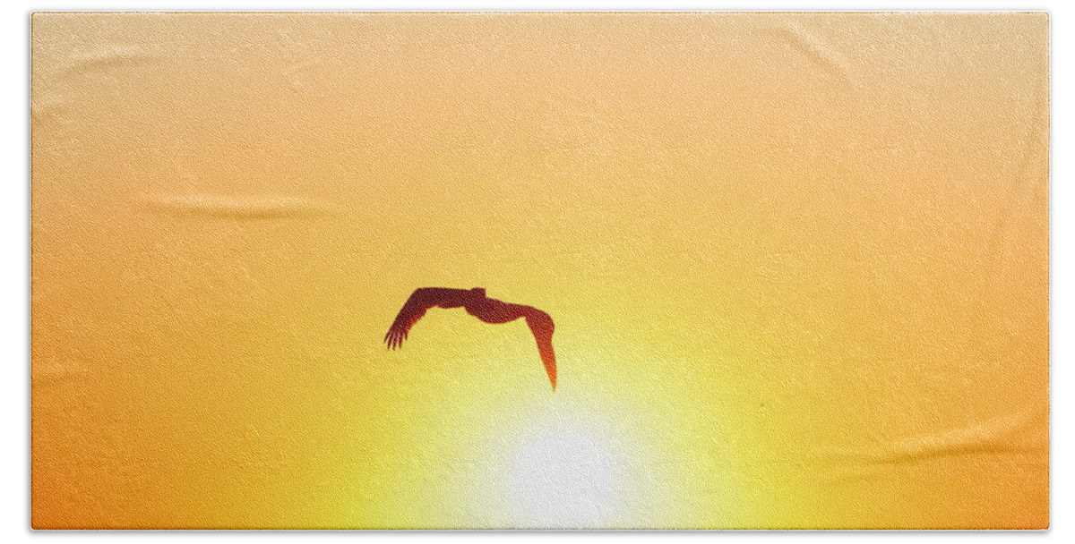 Pelican Bath Towel featuring the photograph Sunbird by Kathleen Illes