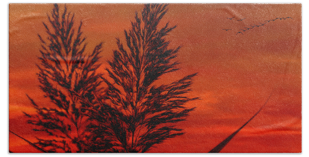 Sunset Hand Towel featuring the photograph Sundown by Cathy Kovarik