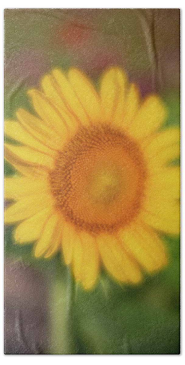 2020 Bath Towel featuring the photograph Sunflower-1 by Charles Hite