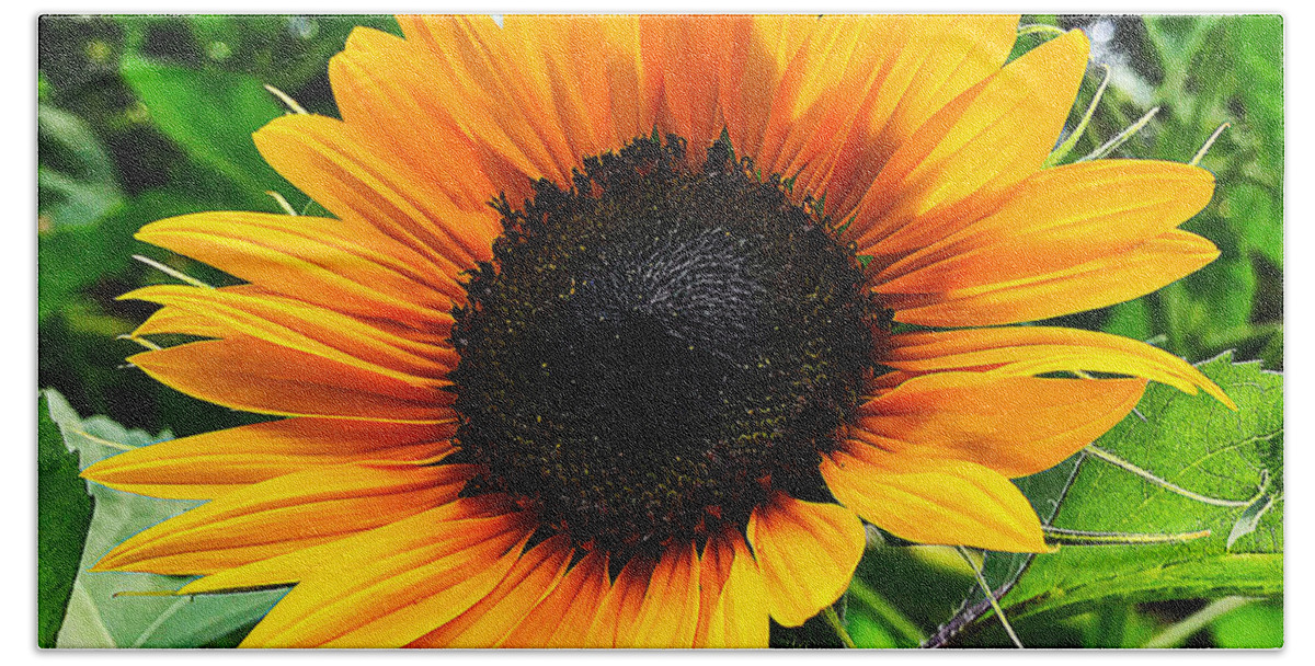  Hand Towel featuring the photograph Sunflower 2 by Stephen Dorton