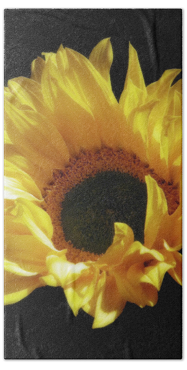 Flower Hand Towel featuring the photograph Sunflower Beauty by Johanna Hurmerinta
