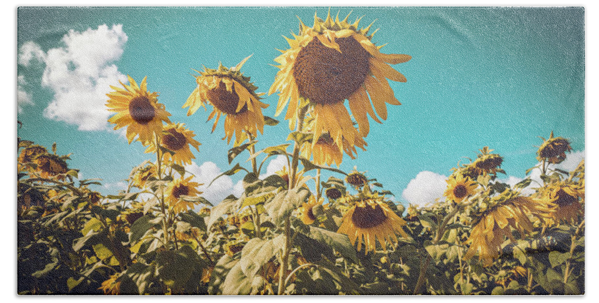 Sunflower Bath Towel featuring the photograph Sunflower Field in Fall by Ada Weyland