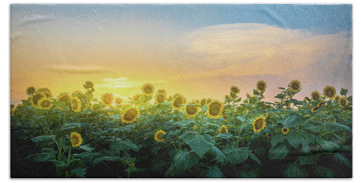Sunflower Bath Towel featuring the photograph Sunflower Field Sunset Alabama by Jordan Hill