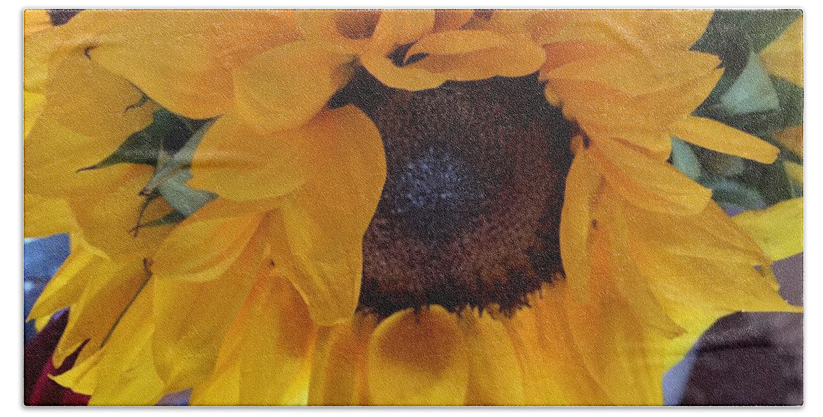 Sunny Bath Towel featuring the photograph Sunflower Series 1-3 by J Doyne Miller