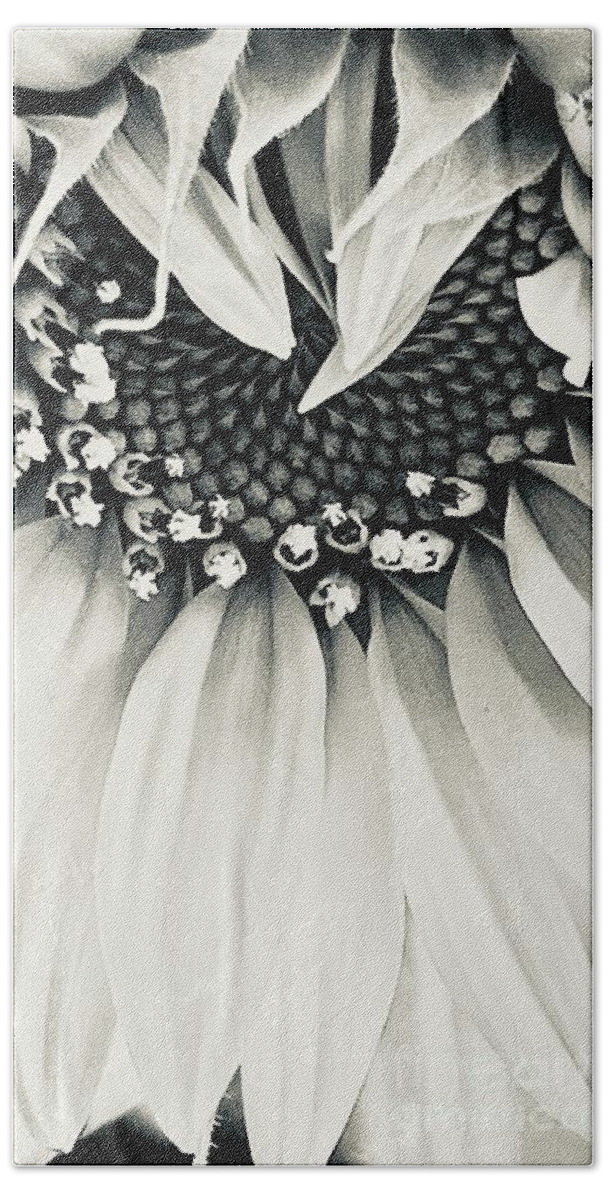 Sunflower Seed Black White B&w Hand Towel featuring the photograph Sunflower Surprise by Eileen Gayle