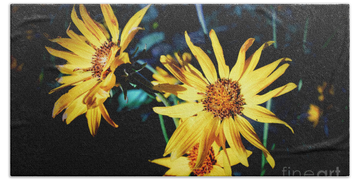 Sunflower Bath Towel featuring the photograph Sunflower by Thomas Nay