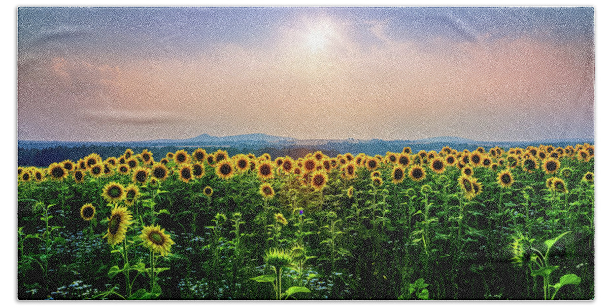 Sunflowers Hand Towel featuring the photograph Sunflowers 34a3934 by Greg Hartford