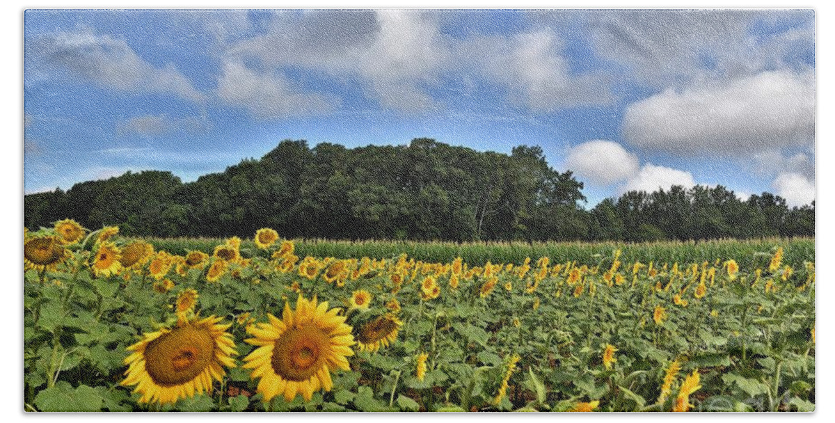 Blue Sky Bath Towel featuring the photograph Sunflowers And Blue Skies by Julie Adair