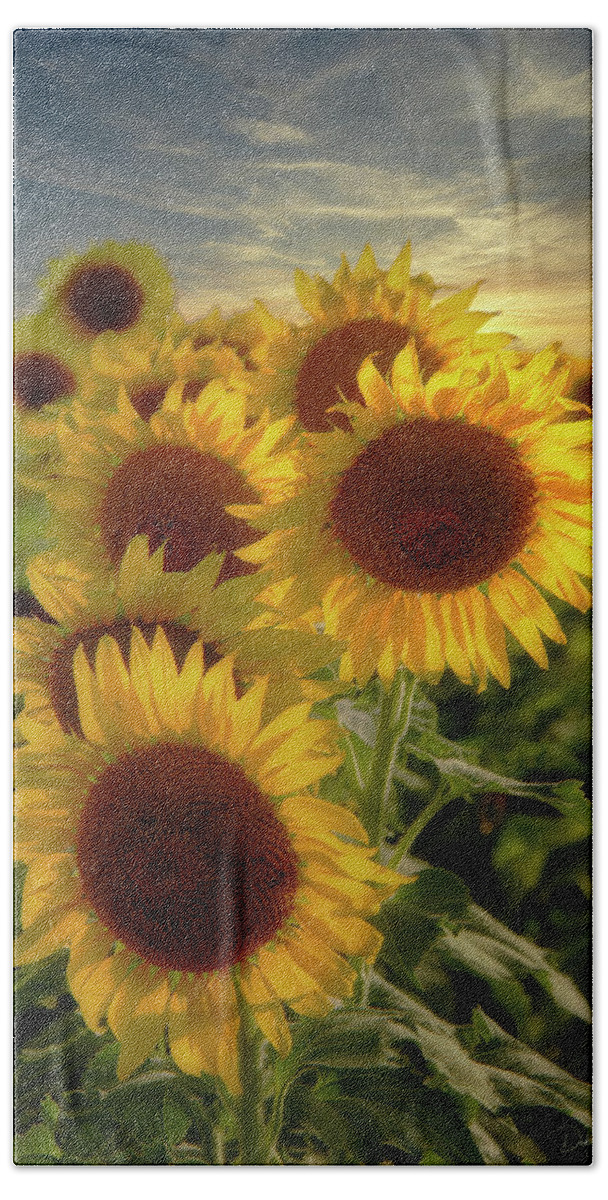Flower Hand Towel featuring the photograph Sunflowers at Sunset by Debby Richards