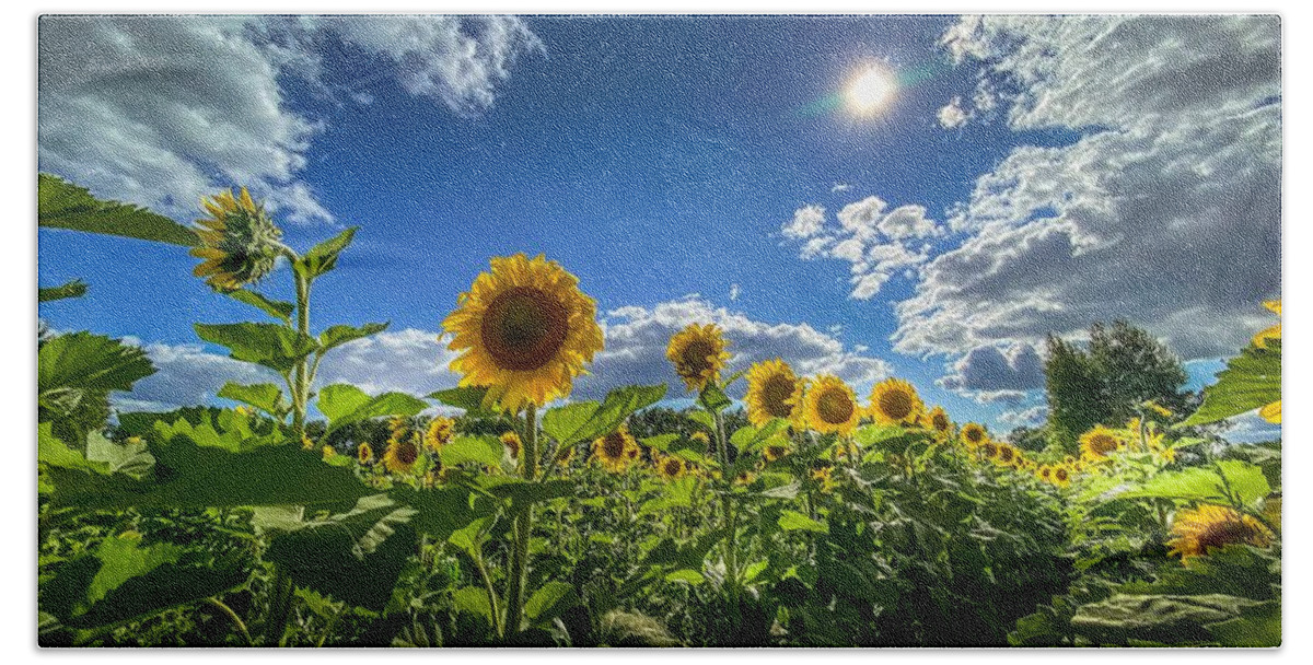 Flower Bath Towel featuring the photograph Sunflowers in Bloom by Susan Rydberg