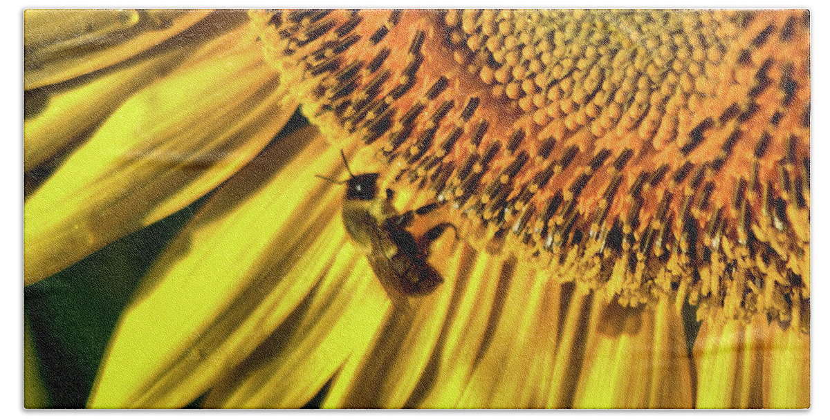 Flowers Hand Towel featuring the photograph Sunny bee by Buddy Scott
