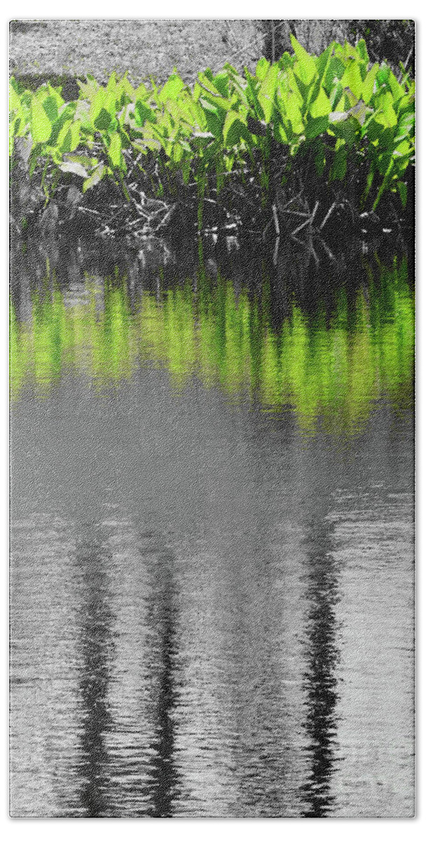 Abstract Bath Towel featuring the photograph Sunny Day Black and White and Green by Sharon Williams Eng
