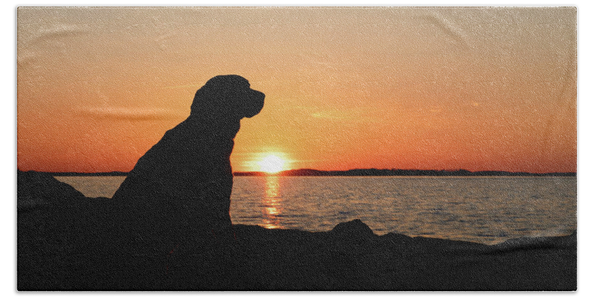 Dog Bath Towel featuring the photograph Sunny Hound Silhouette by Denise Kopko