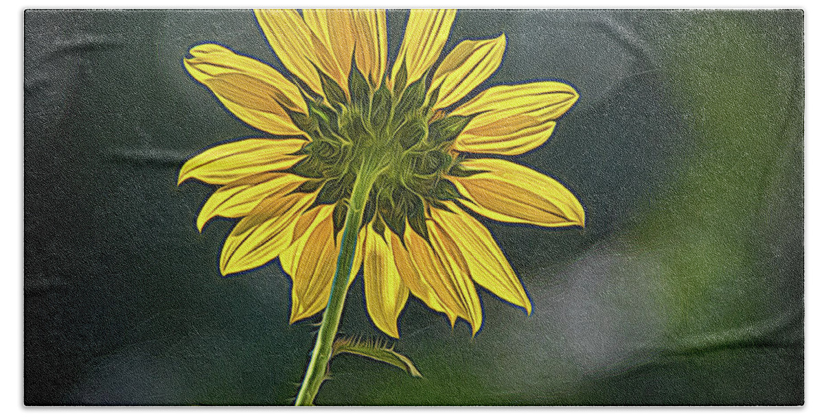 Bloom Bath Towel featuring the photograph Sunny Sunflower Following the Sun With Enhancements by Debra Martz