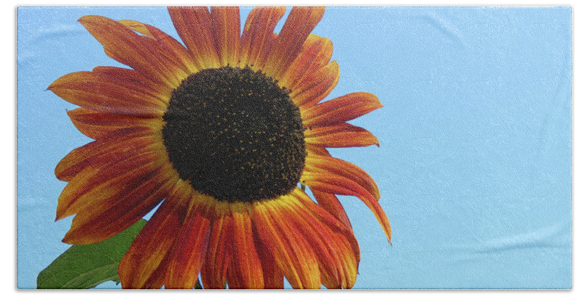 Canada Bath Towel featuring the photograph Sunny Sunflower by Mary Mikawoz