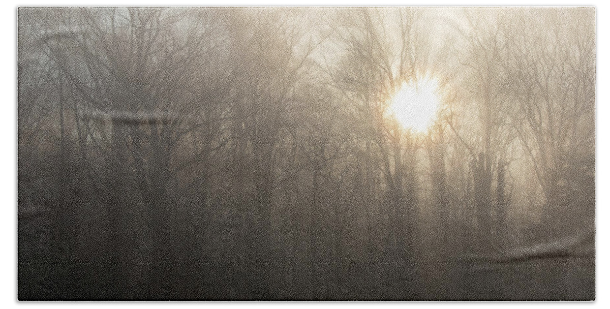 Nature Bath Sheet featuring the photograph Sunrays Through The Trees in Delaware by Kristia Adams