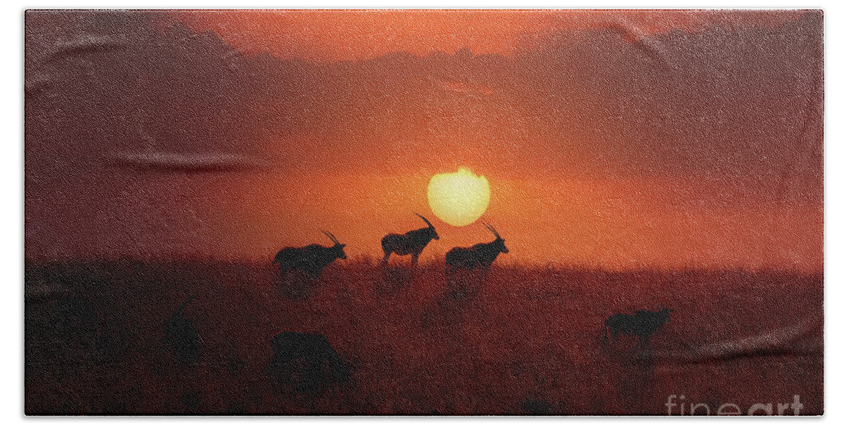 Oryx Hand Towel featuring the photograph Sunset Herd by Ed Taylor