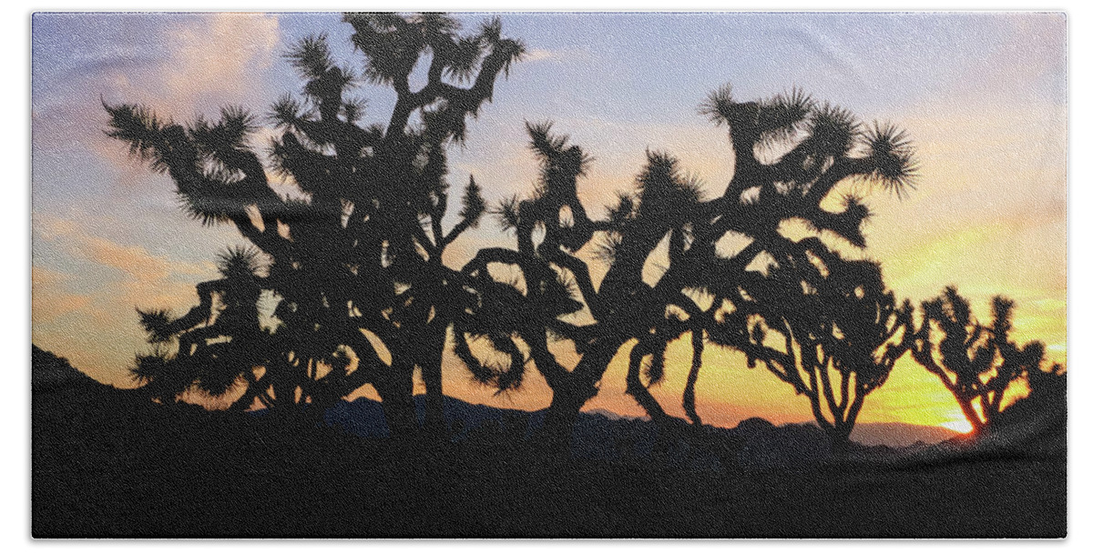 California Bath Towel featuring the photograph Sunset over Joshua Tree National Park 2 by Dawn Richards