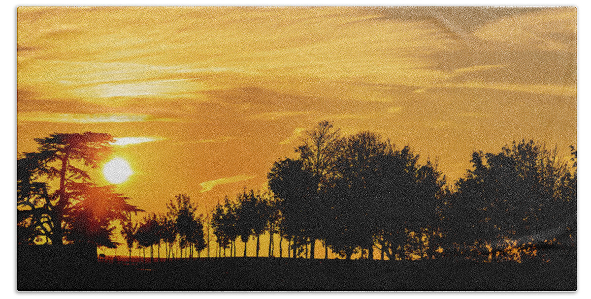 Golden Sky Hand Towel featuring the photograph Sunset sky and silhouette of trees by Fabiano Di Paolo