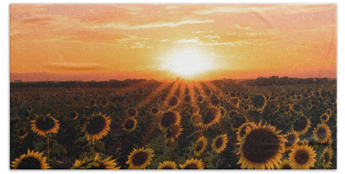 Landscape Bath Towel featuring the photograph Sunset Sunflowers by Phillip Rubino