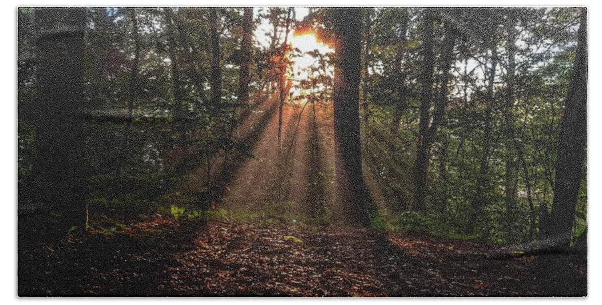 Photo Bath Towel featuring the photograph Sunset through the Trees by Evan Foster