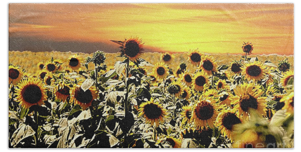 Sunflower Hand Towel featuring the photograph Sunset with Sunflowers by Yumi Johnson
