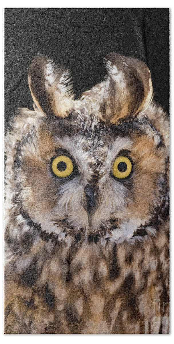 Owl Bath Towel featuring the photograph Surprise by Alice Cahill