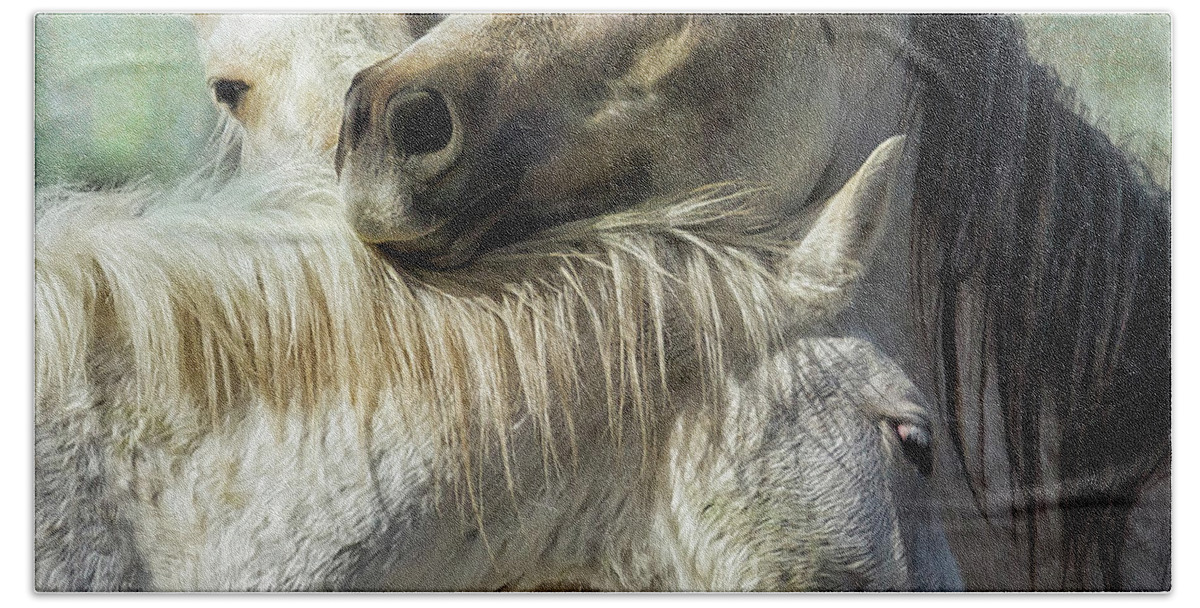 Wild Horses Hand Towel featuring the photograph Surrounded by Love by Belinda Greb