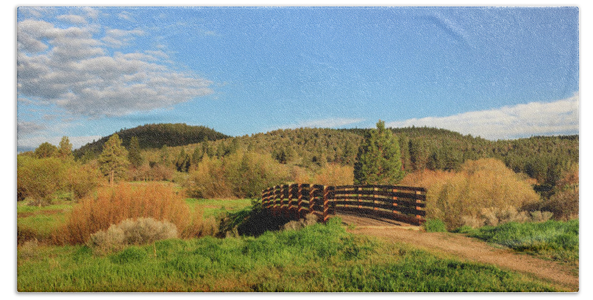 Trail Bath Towel featuring the photograph Susanville Ranch Park Bridge by James Eddy