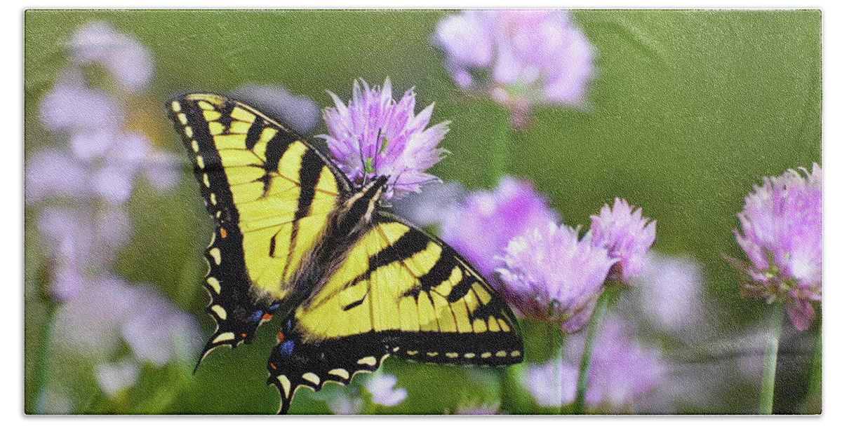 Swallowtail Butterfly Bath Towel featuring the photograph Swallowtail Butterfly Dream by Christina Rollo
