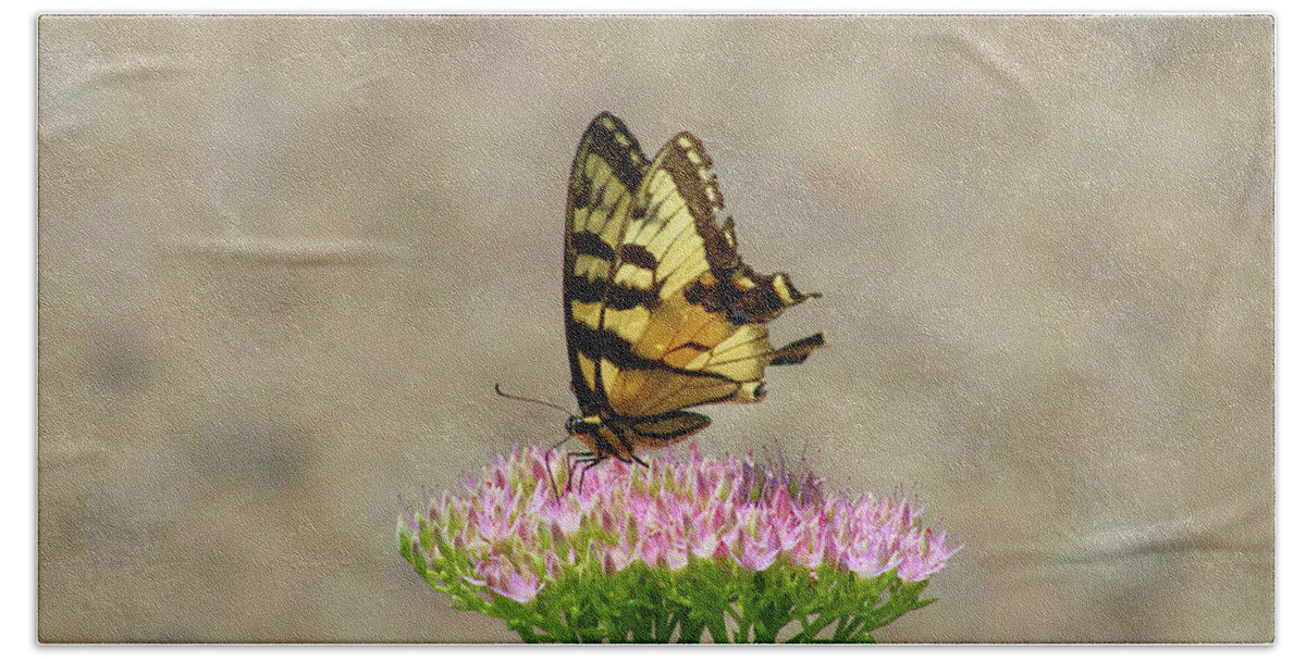 Swallowtail Bath Towel featuring the photograph Swallowtail Butterfly Endures by Christopher Reed