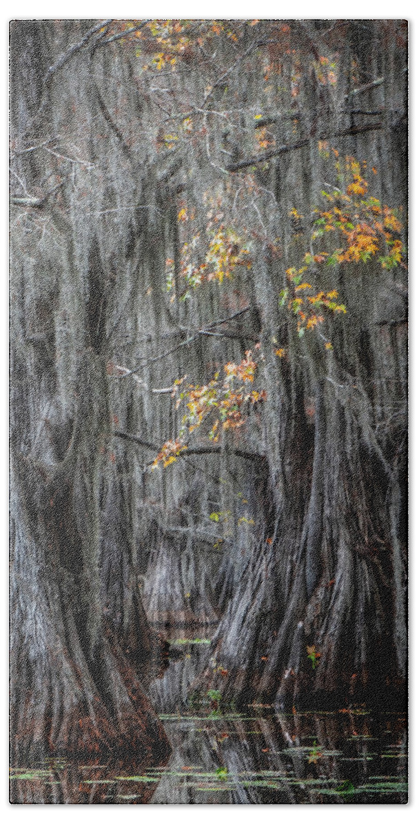 Texas Hand Towel featuring the photograph Swamp Ghosts Vertical by Harriet Feagin