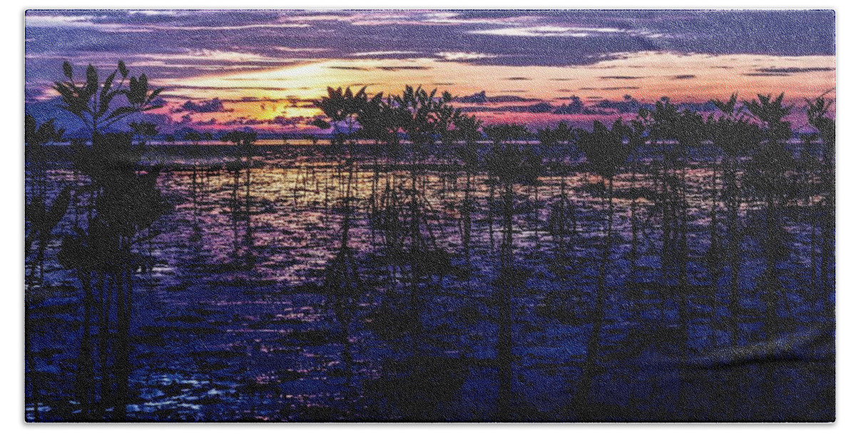 Beach Bath Towel featuring the photograph Swamp Sunset by Josu Ozkaritz