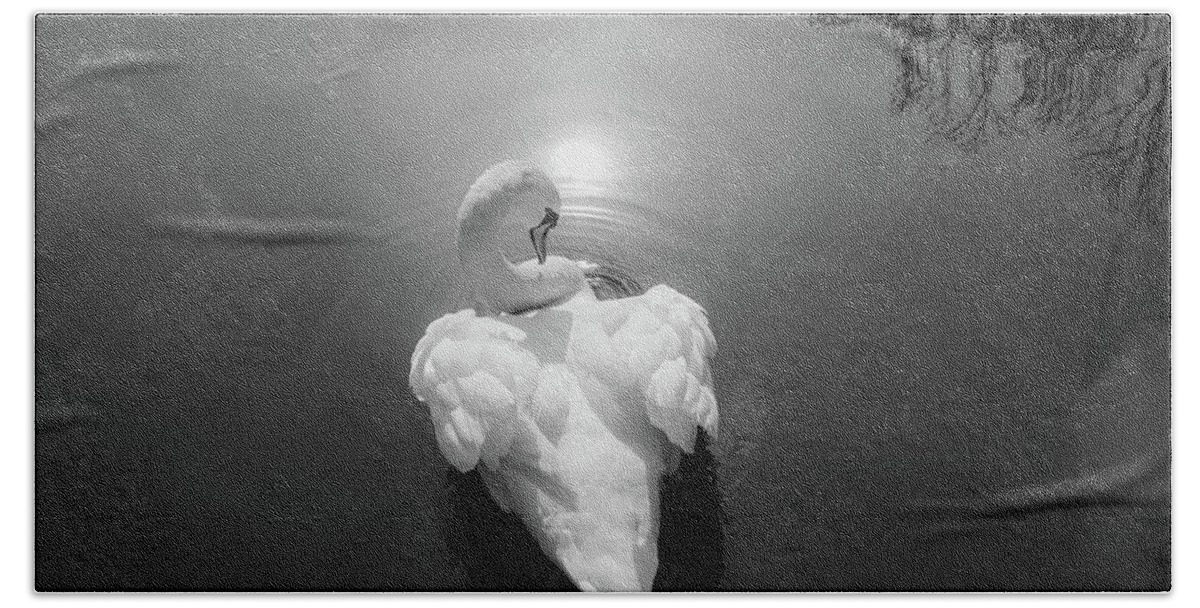 Swan Bath Towel featuring the photograph Swan 3 by Cindy Robinson
