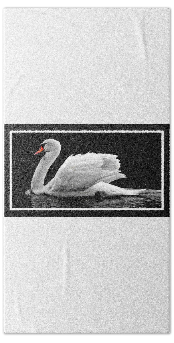 Swan Bath Towel featuring the photograph Swan Elegance by Nancy Ayanna Wyatt