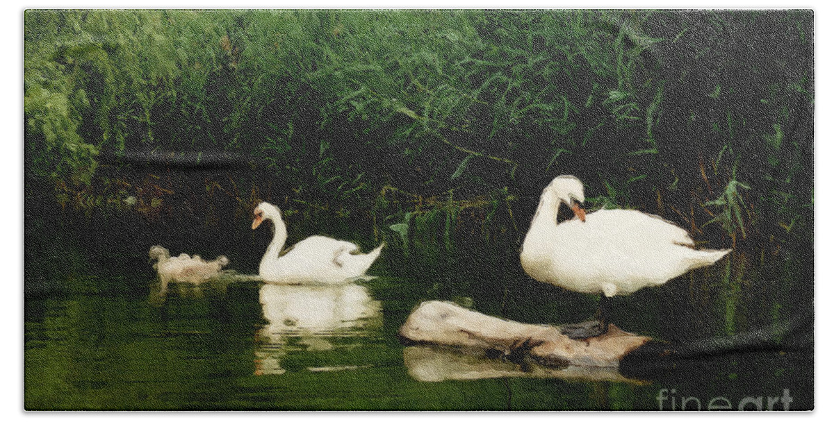 Swans Bath Towel featuring the photograph Swans of Central Park by Brian Watt