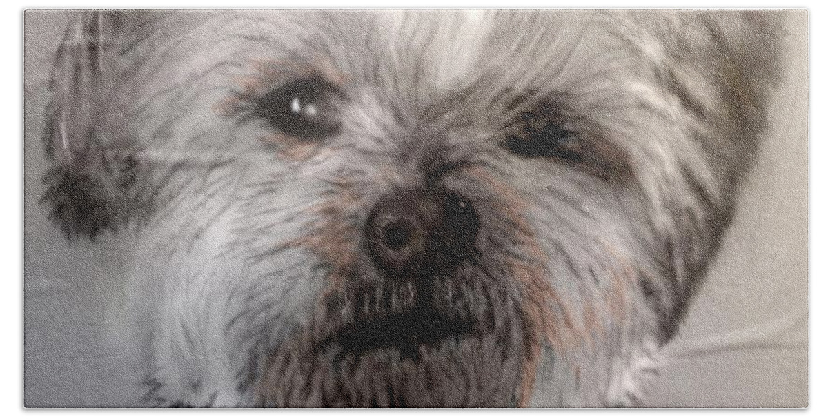 Pencil Sketch Of A Sweet Dog Bath Towel featuring the mixed media Sweet face by Pamela Calhoun
