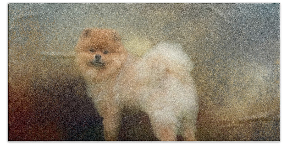 Pomeranian Hand Towel featuring the photograph Sweet Pomeranian by Elisabeth Lucas