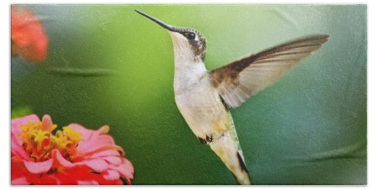 Hummingbirds Bath Towel featuring the photograph Sweet Promise Hummingbird Square by Christina Rollo