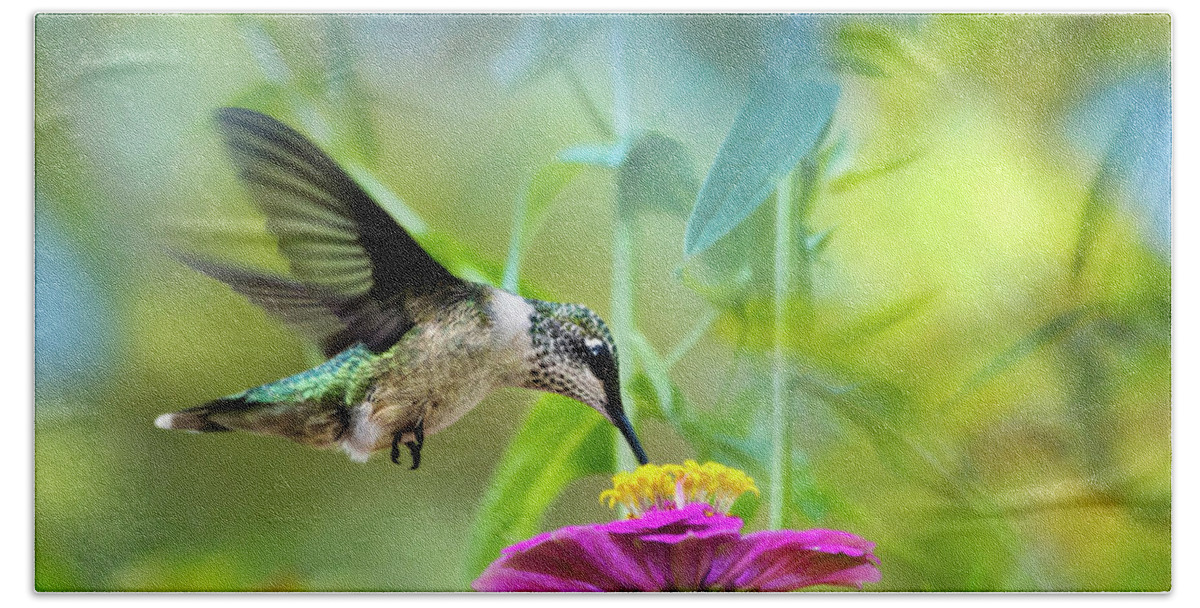 Hummingbird Hand Towel featuring the photograph Sweet Success by Christina Rollo
