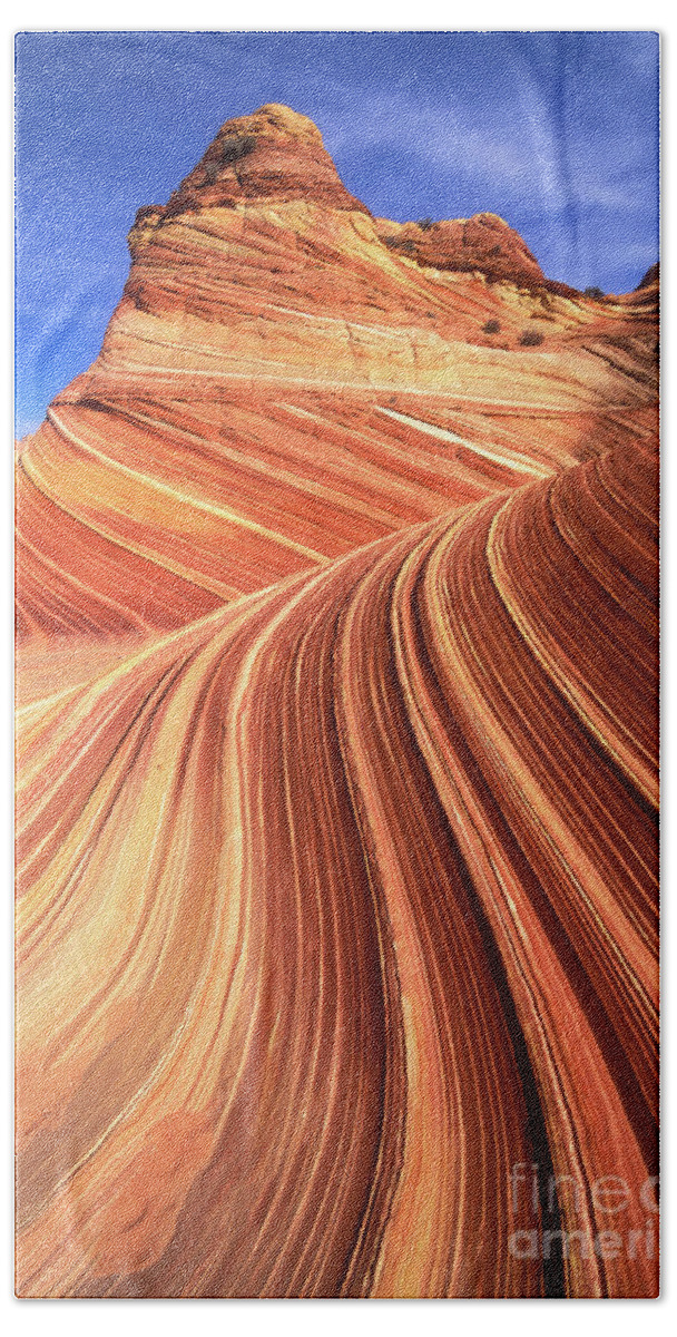 The Wave Bath Towel featuring the photograph Swirls of sandstone on the Wave, Coyote Butte, Arizona by Neale And Judith Clark