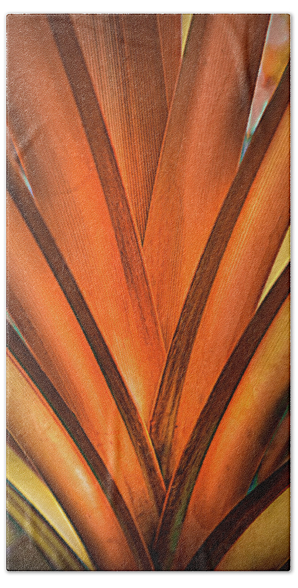 Palm Bath Towel featuring the photograph Symmetry of a Palm in Autumn by Debra and Dave Vanderlaan