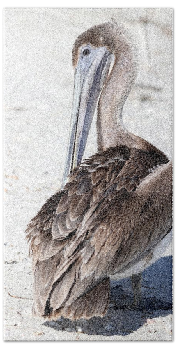 Pelicans Bath Towel featuring the photograph Close Up of Pelican by Mingming Jiang