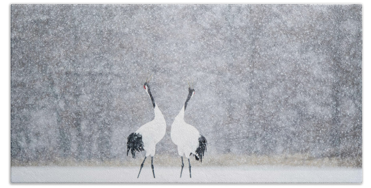 Snow Bath Towel featuring the photograph Tancho in snow by Yoshiki Nakamura