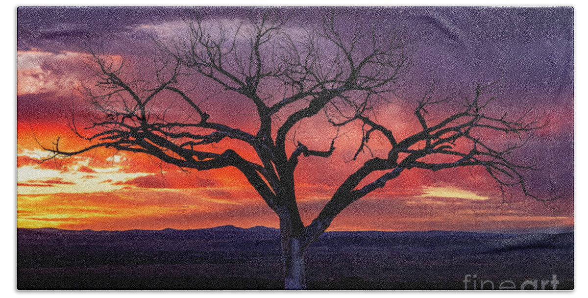 Taos Bath Towel featuring the photograph Taos Welcome Tree Purple Sunset by Elijah Rael